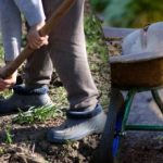 Calendário de sementeira para setembro de 2025: o que fazer