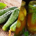 Como fechar pepinos em ketchup de malagueta para o inverno: