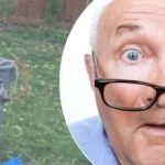 O estranho achado junto à árvore deixou o vizinho intrigado: