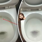 Um produto que branqueia a sanita até ficar brilhante: como