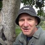 Uma árvore oca não é um julgamento: uma forma comprovada